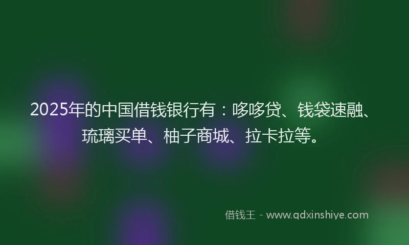 2025年的中国借钱银行有：哆哆贷、钱袋速融、琉璃买单、柚子商城、拉卡拉等。