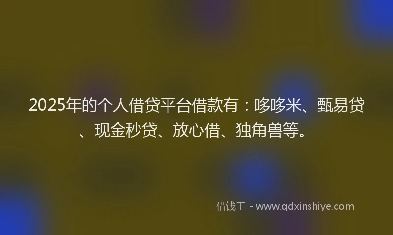 2025年的个人借贷平台借款有：哆哆米、甄易贷、现金秒贷、放心借、独角兽等。