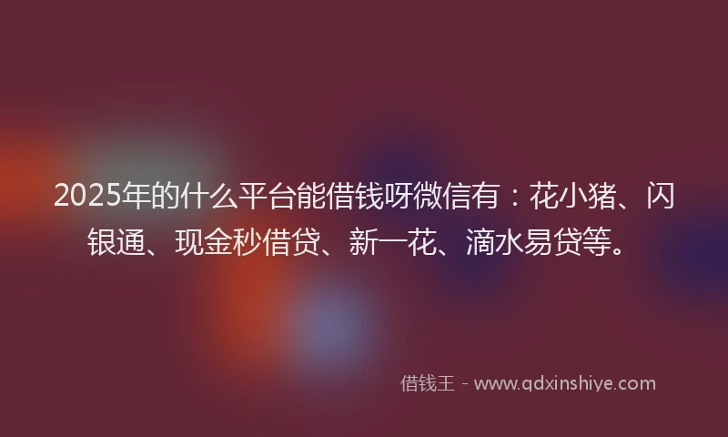 2025年的什么平台能借钱呀微信有：花小猪、闪银通、现金秒借贷、新一花、滴水易贷等。
