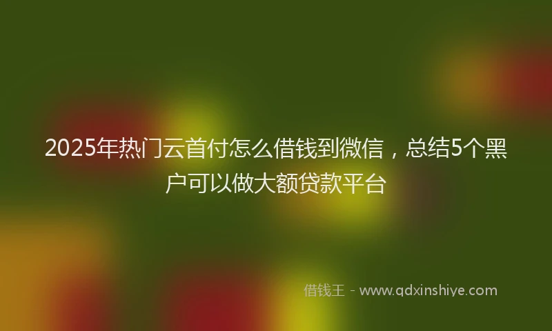 2025年热门云首付怎么借钱到微信，总结5个黑户可以做大额贷款平台