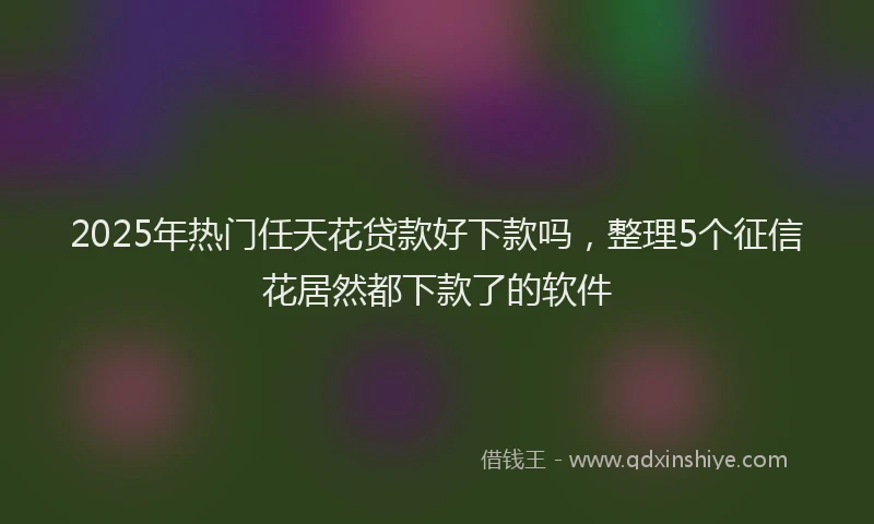 2025年热门任天花贷款好下款吗，整理5个征信花居然都下款了的软件