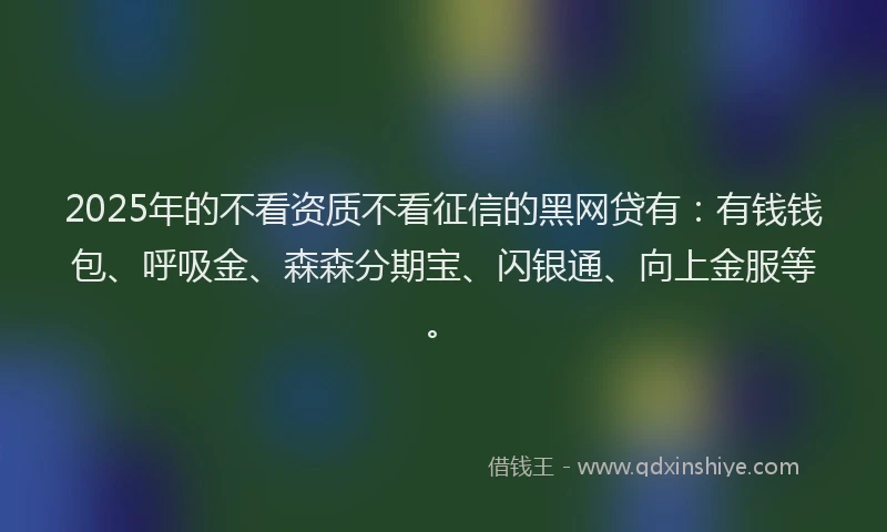 2025年的不看资质不看征信的黑网贷有：有钱钱包、呼吸金、森森分期宝、闪银通、向上金服等。