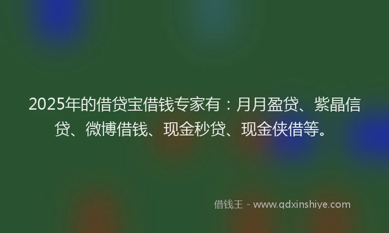 2025年的借贷宝借钱专家有：月月盈贷、紫晶信贷、微博借钱、现金秒贷、现金侠借等。