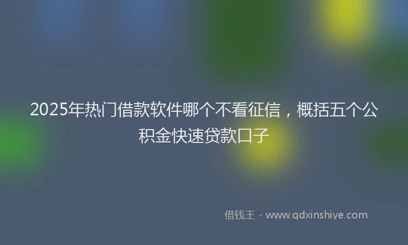 2025年热门借款软件哪个不看征信，概括五个公积金快速贷款口子