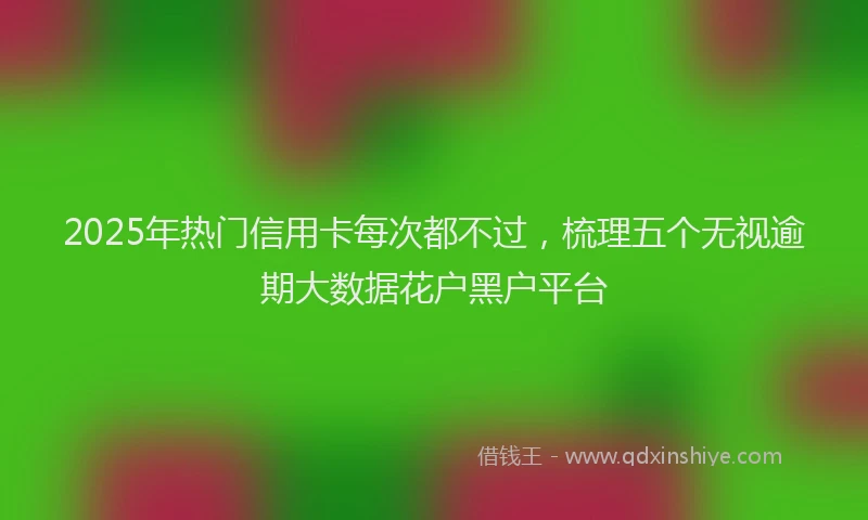2025年热门信用卡每次都不过，梳理五个无视逾期大数据花户黑户平台