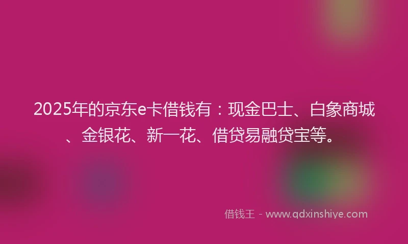 2025年的京东e卡借钱有：现金巴士、白象商城、金银花、新一花、借贷易融贷宝等。