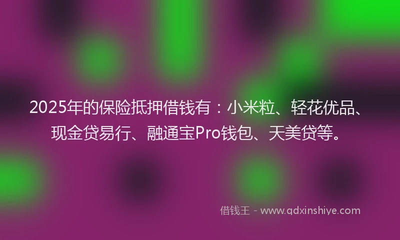2025年的保险抵押借钱有：小米粒、轻花优品、现金贷易行、融通宝Pro钱包、天美贷等。