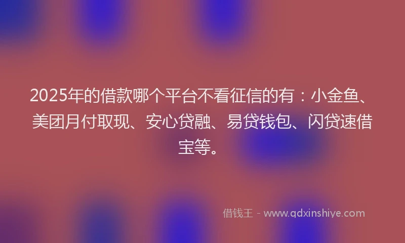 2025年的借款哪个平台不看征信的有：小金鱼、美团月付取现、安心贷融、易贷钱包、闪贷速借宝等。