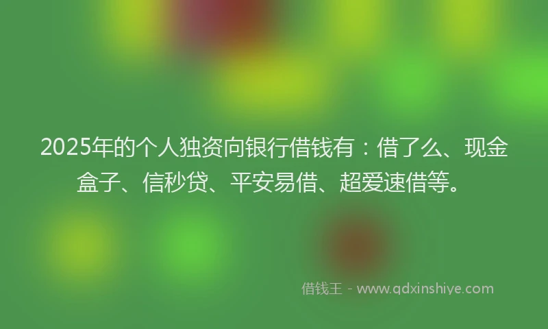 2025年的个人独资向银行借钱有：借了么、现金盒子、信秒贷、平安易借、超爱速借等。