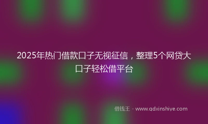 2025年热门借款口子无视征信，整理5个网贷大口子轻松借平台