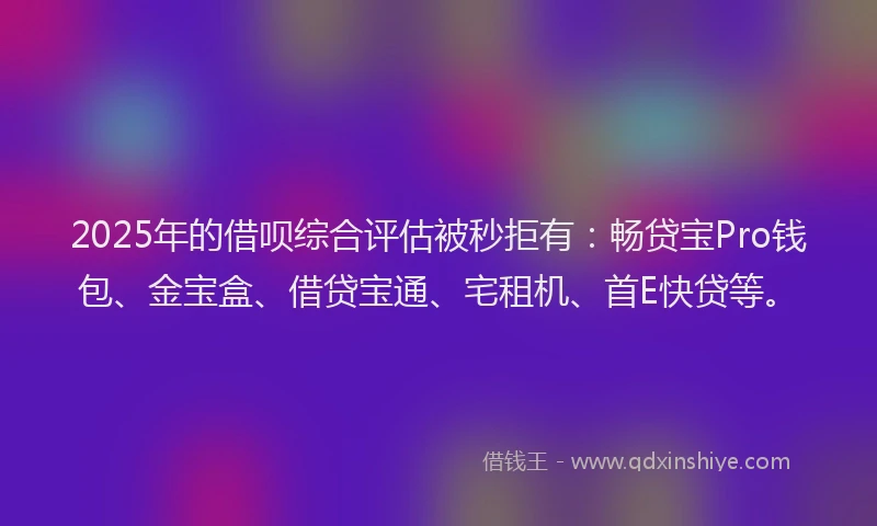 2025年的借呗综合评估被秒拒有：畅贷宝Pro钱包、金宝盒、借贷宝通、宅租机、首E快贷等。