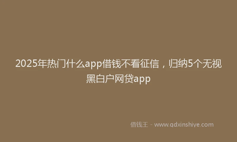 2025年热门什么app借钱不看征信，归纳5个无视黑白户网贷app