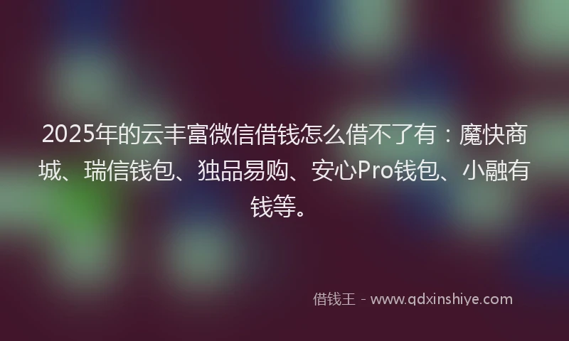 2025年的云丰富微信借钱怎么借不了有：魔快商城、瑞信钱包、独品易购、安心Pro钱包、小融有钱等。