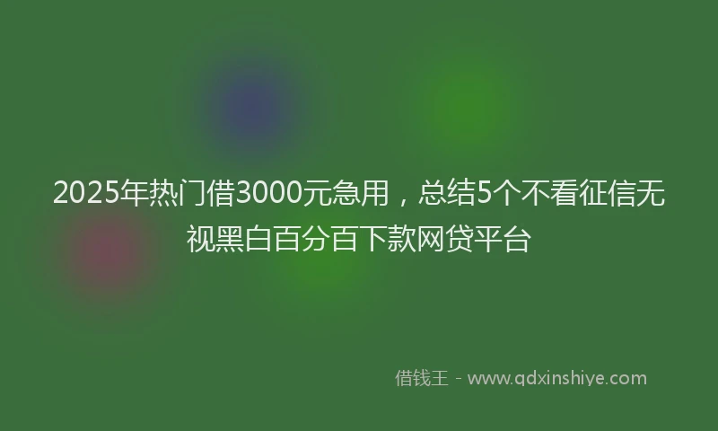 2025年热门借3000元急用，总结5个不看征信无视黑白百分百下款网贷平台