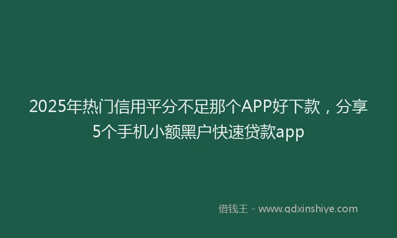 2025年热门信用平分不足那个APP好下款，分享5个手机小额黑户快速贷款app