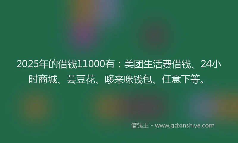 2025年的借钱11000有：美团生活费借钱、24小时商城、芸豆花、哆来咪钱包、任意下等。