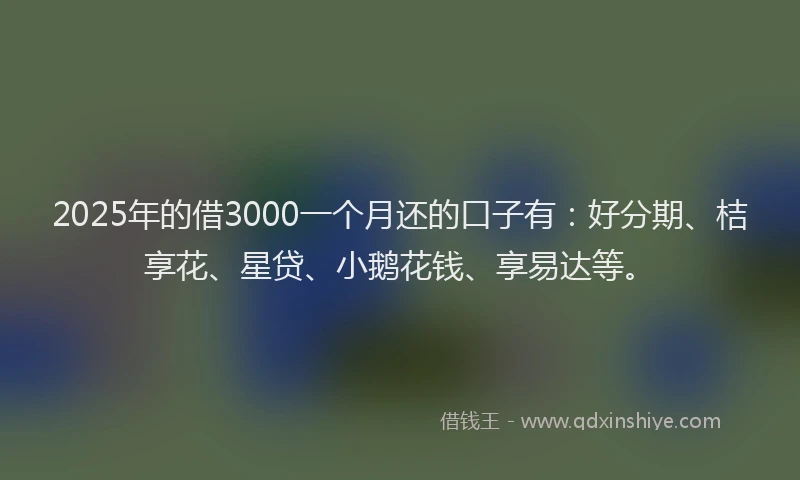 2025年的借3000一个月还的口子有：好分期、桔享花、星贷、小鹅花钱、享易达等。