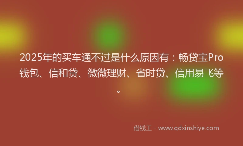 2025年的买车通不过是什么原因有：畅贷宝Pro钱包、信和贷、微微理财、省时贷、信用易飞等。