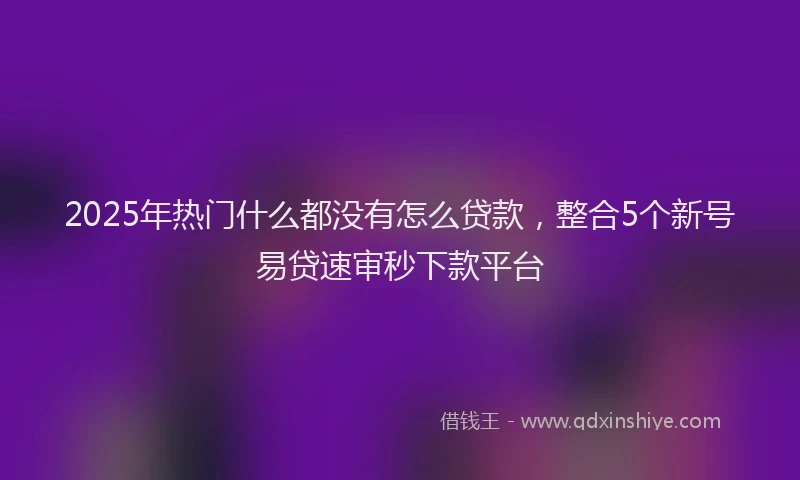 2025年热门什么都没有怎么贷款，整合5个新号易贷速审秒下款平台