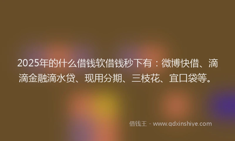 2025年的什么借钱软借钱秒下有：微博快借、滴滴金融滴水贷、现用分期、三枝花、宜口袋等。