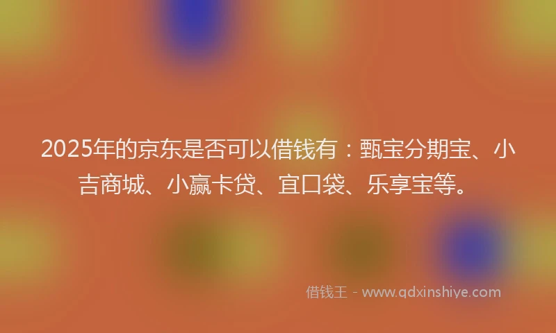 2025年的京东是否可以借钱有：甄宝分期宝、小吉商城、小赢卡贷、宜口袋、乐享宝等。
