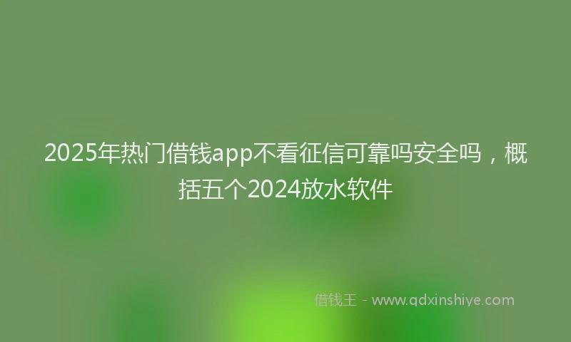 2025年热门借钱app不看征信可靠吗安全吗，概括五个2024放水软件