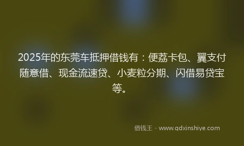 2025年的东莞车抵押借钱有：便荔卡包、翼支付随意借、现金流速贷、小麦粒分期、闪借易贷宝等。