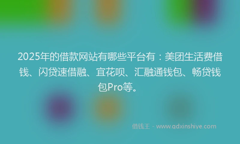 2025年的借款网站有哪些平台有：美团生活费借钱、闪贷速借融、宜花呗、汇融通钱包、畅贷钱包Pro等。
