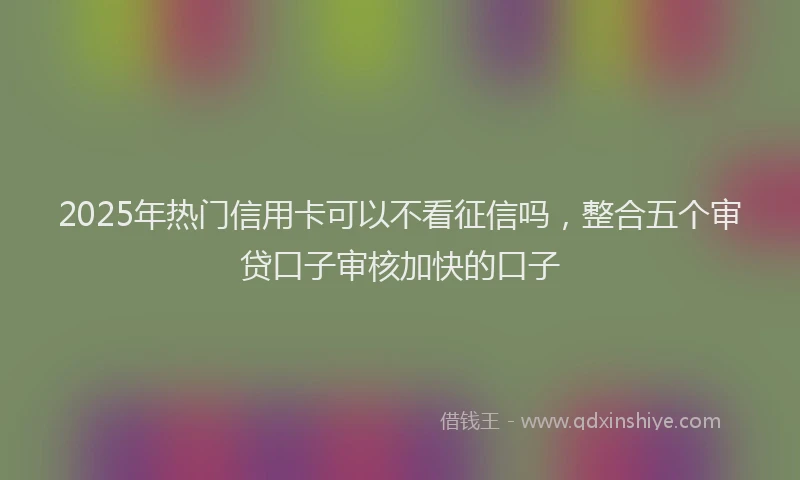 2025年热门信用卡可以不看征信吗，整合五个审贷口子审核加快的口子