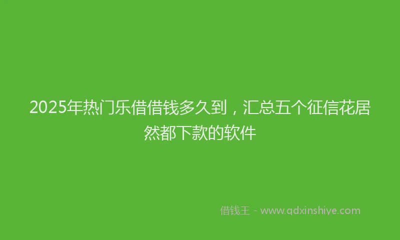 2025年热门乐借借钱多久到，汇总五个征信花居然都下款的软件