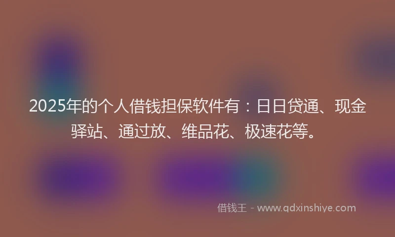 2025年的个人借钱担保软件有：日日贷通、现金驿站、通过放、维品花、极速花等。