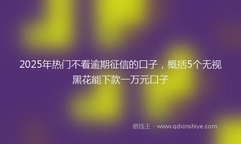 2025年热门不看逾期征信的口子，概括5个无视黑花能下款一万元口子