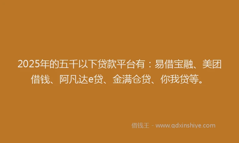 2025年的五千以下贷款平台有：易借宝融、美团借钱、阿凡达e贷、金满仓贷、你我贷等。