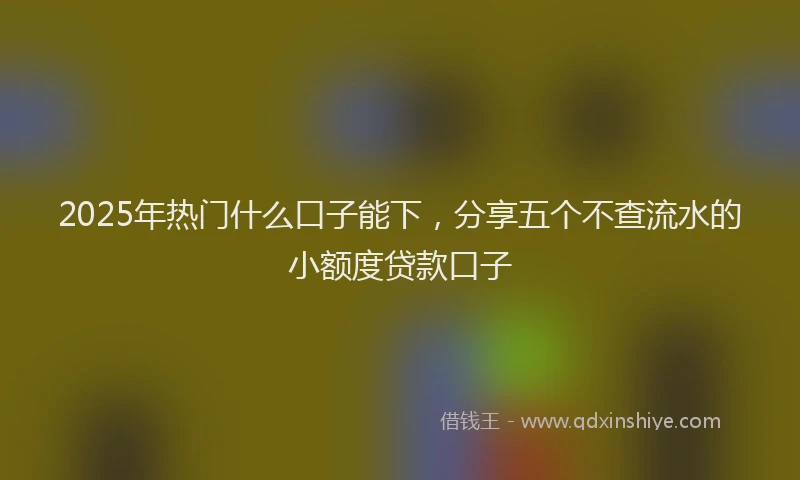 2025年热门什么口子能下，分享五个不查流水的小额度贷款口子