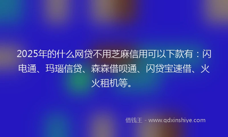 2025年的什么网贷不用芝麻信用可以下款有：闪电通、玛瑙信贷、森森借呗通、闪贷宝速借、火火租机等。