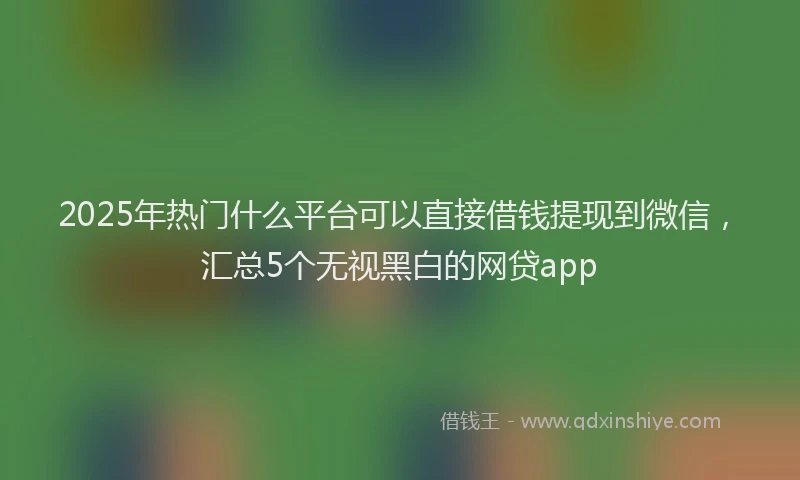 2025年热门什么平台可以直接借钱提现到微信，汇总5个无视黑白的网贷app