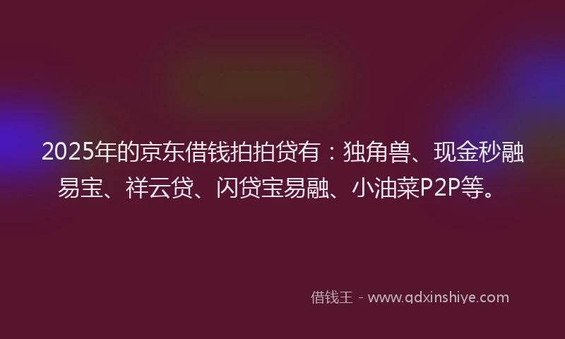 2025年的京东借钱拍拍贷有：独角兽、现金秒融易宝、祥云贷、闪贷宝易融、小油菜P2P等。