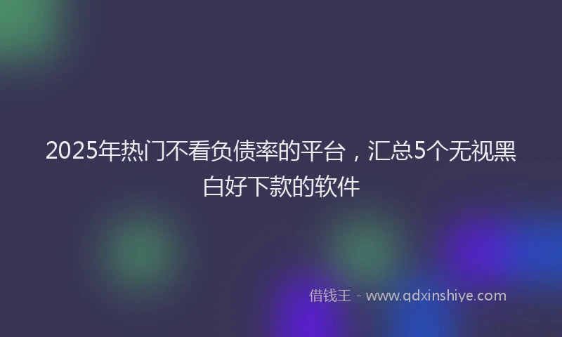 2025年热门不看负债率的平台，汇总5个无视黑白好下款的软件