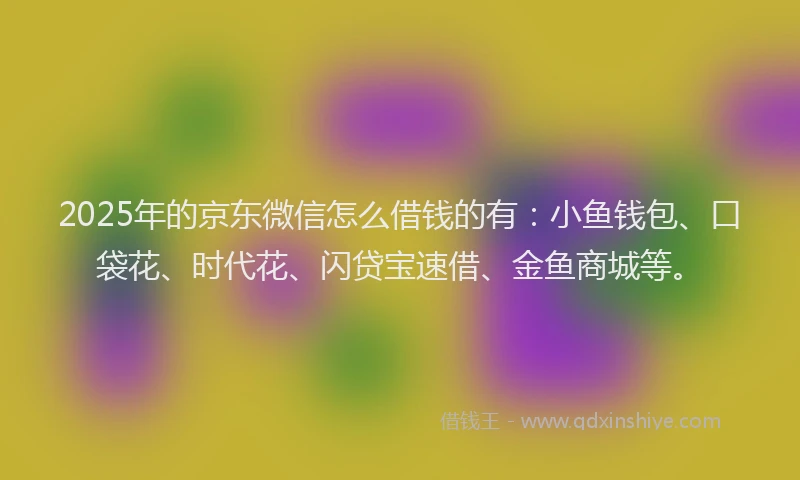 2025年的京东微信怎么借钱的有：小鱼钱包、口袋花、时代花、闪贷宝速借、金鱼商城等。