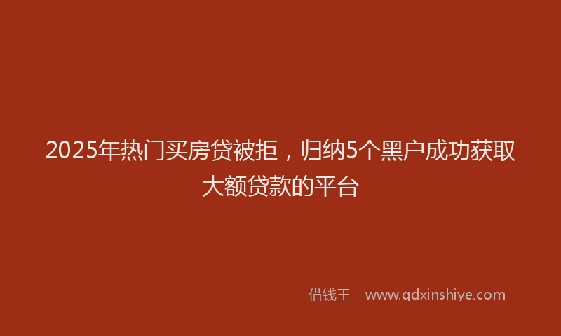 2025年热门买房贷被拒，归纳5个黑户成功获取大额贷款的平台