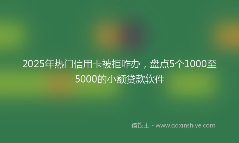 2025年热门信用卡被拒咋办，盘点5个1000至5000的小额贷款软件