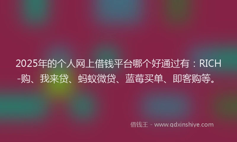 2025年的个人网上借钱平台哪个好通过有：RICH-购、我来贷、蚂蚁微贷、蓝莓买单、即客购等。