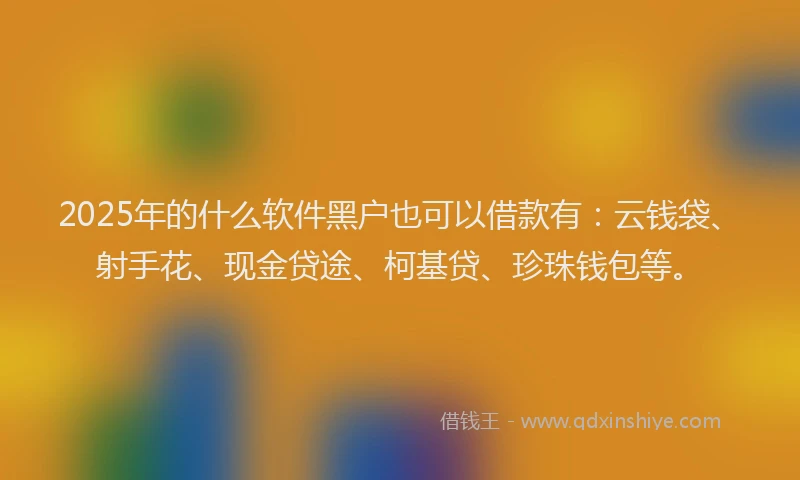 2025年的什么软件黑户也可以借款有：云钱袋、射手花、现金贷途、柯基贷、珍珠钱包等。