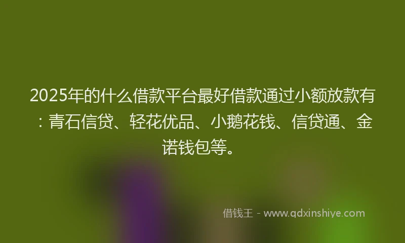2025年的什么借款平台最好借款通过小额放款有：青石信贷、轻花优品、小鹅花钱、信贷通、金诺钱包等。