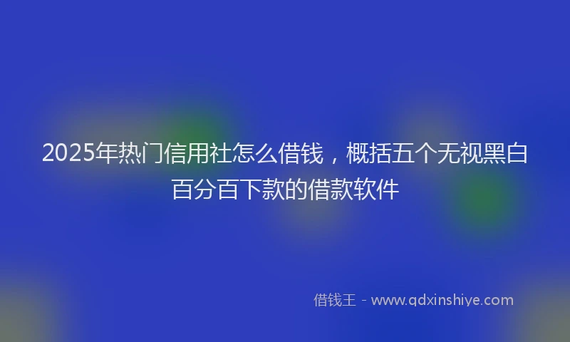 2025年热门信用社怎么借钱，概括五个无视黑白百分百下款的借款软件