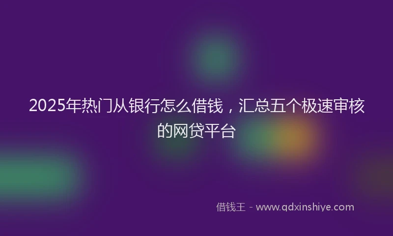 2025年热门从银行怎么借钱，汇总五个极速审核的网贷平台