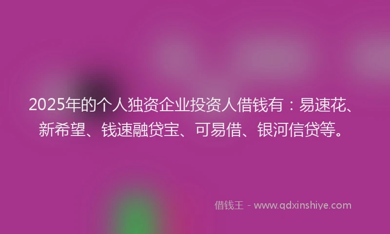 2025年的个人独资企业投资人借钱有：易速花、新希望、钱速融贷宝、可易借、银河信贷等。
