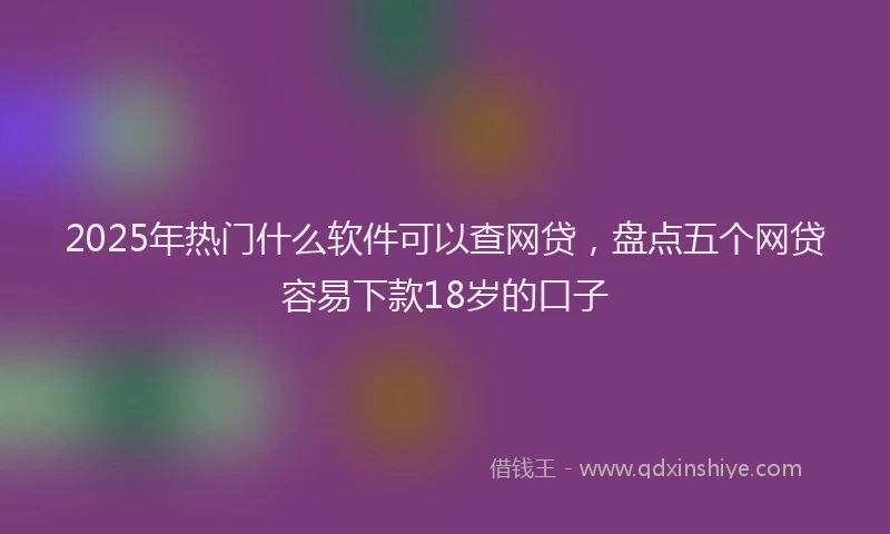 2025年热门什么软件可以查网贷，盘点五个网贷容易下款18岁的口子