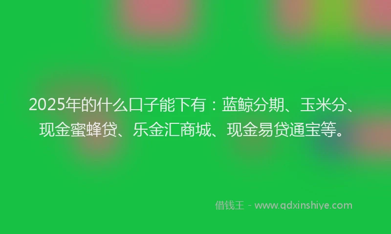 2025年的什么口子能下有：蓝鲸分期、玉米分、现金蜜蜂贷、乐金汇商城、现金易贷通宝等。