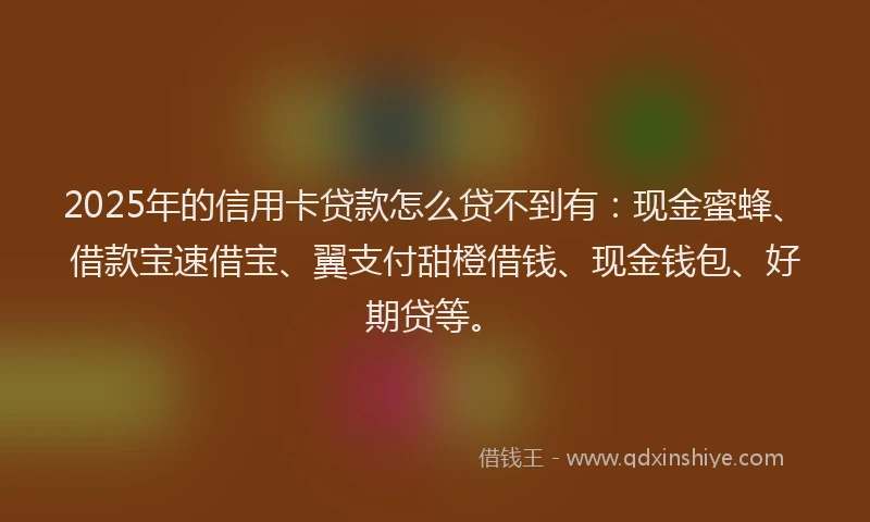 2025年的信用卡贷款怎么贷不到有：现金蜜蜂、借款宝速借宝、翼支付甜橙借钱、现金钱包、好期贷等。